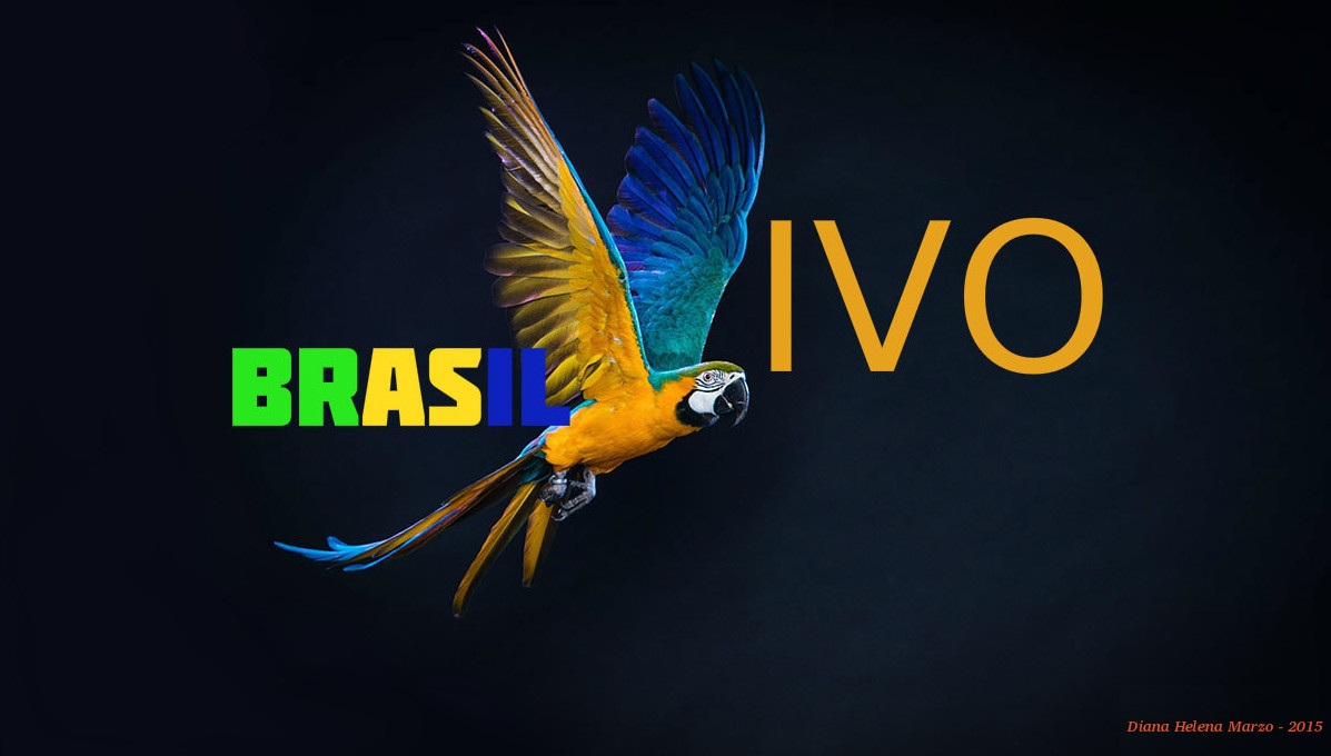 BrasilVivo - Associazione di cultura brasiliana e corsi di lingua portoghese