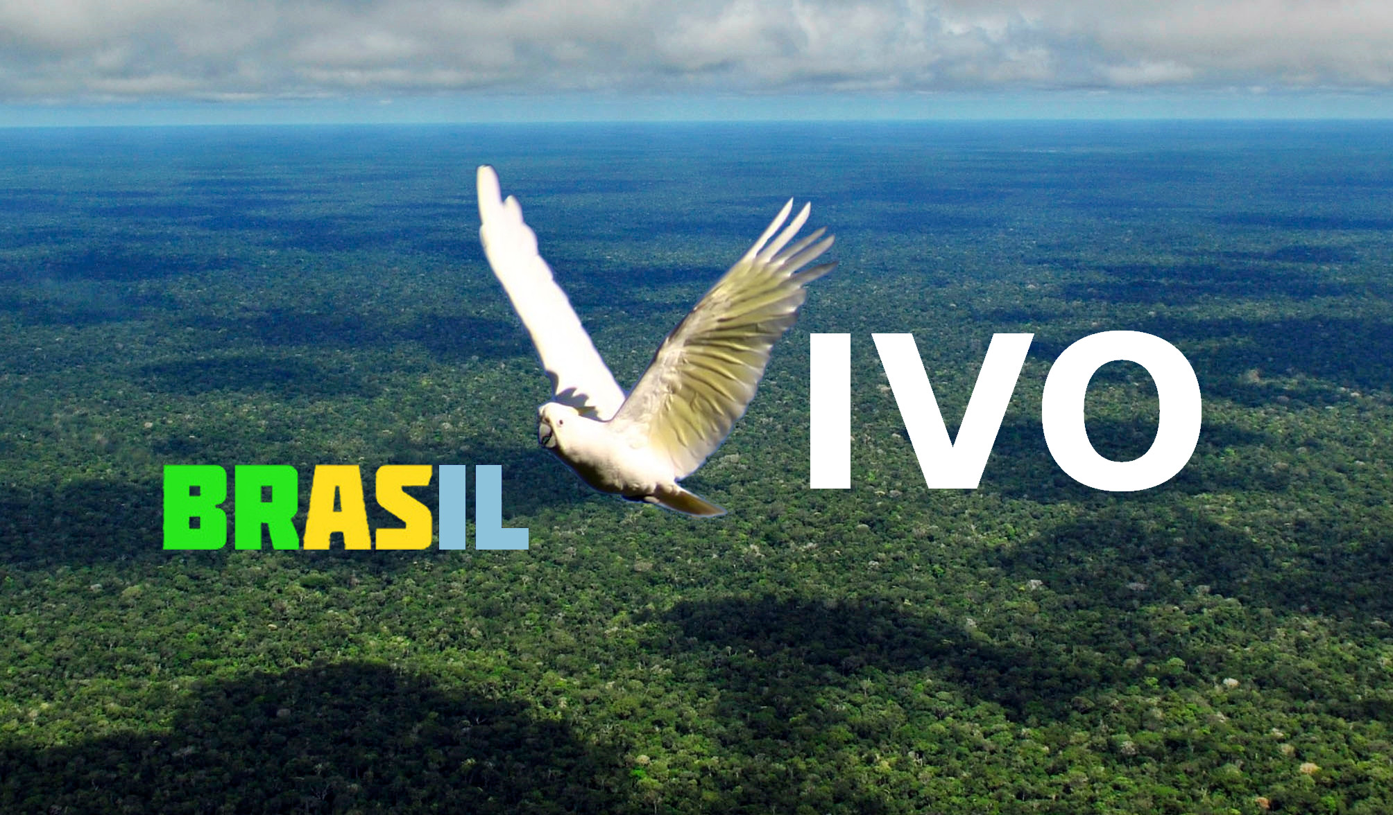 BrasilVivo - Associazione di cultura brasiliana e corsi di lingua portoghese